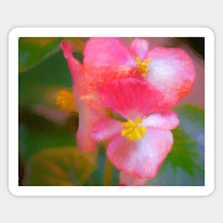 Begonia Painterly Sticker